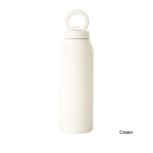 sports water bottle, vacuum insulated, 304 stainless steel, magnetic lid, large capacity water bottle, straw bottle, reusable water bottle, hydration bottle, insulated bottle, gym bottle, outdoor bottle, portable water bottle, Australian market, leak