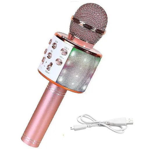 Cordless Handheld Karaoke Microphone - Singing Mic for Stage and Events