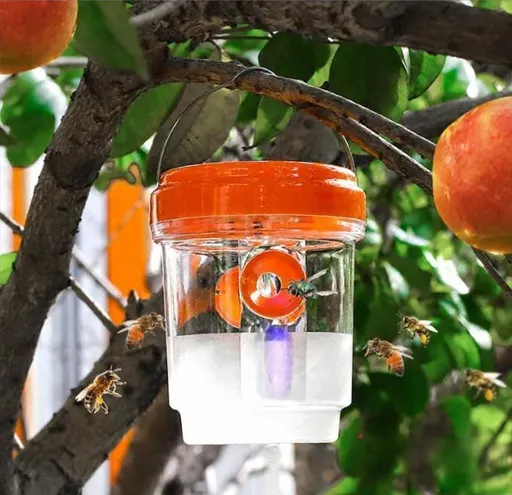 Solar Wasp Bee Trap, Outdoor Hanging LED Light Reusable Catcher for Outside Brush Included, DIY Bait, Fits Hornet, Yellow Jacket, Wasp & Carpenter Bee, All-day Outdoor Use for Garden, Orchard & Farm Visit the Stingmon Store - Orange - Size 1Pack