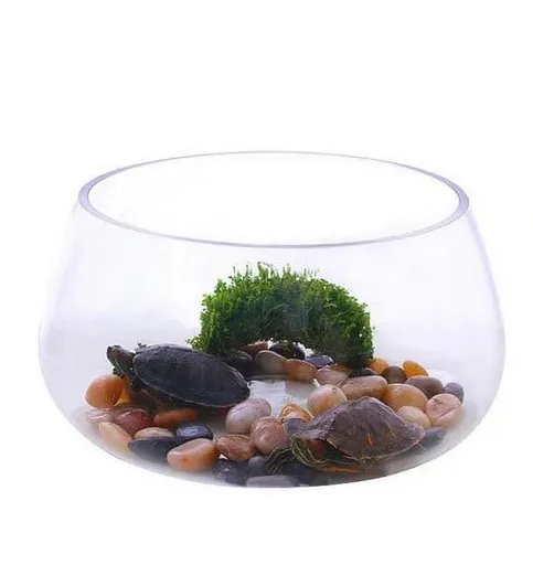 Round Clear Glass Fish Bowl Small Transparent Aquarium Tank for Desktop Fish Tank Landscaping and Turtle Habitat 0.00X0.00X0.00CM Transparent