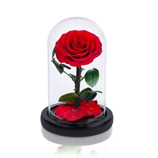 Handmade Preserved Roses in Glass Dome Valentines Day Gifts for Her, Red Real Roses That Last Over a Year, Eternal Glass Roses