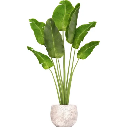 Wall Decals Green Plant 3D Potted Removable Art Stickers for Bedroom Living Room