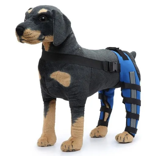Dog Knee Brace Adjustable Dog Double Rear Leg Brace with Metal Hinged Flexible Support and Reflective Seat Belts Dog Acl Brace Hind Leg - Blue - Size L
