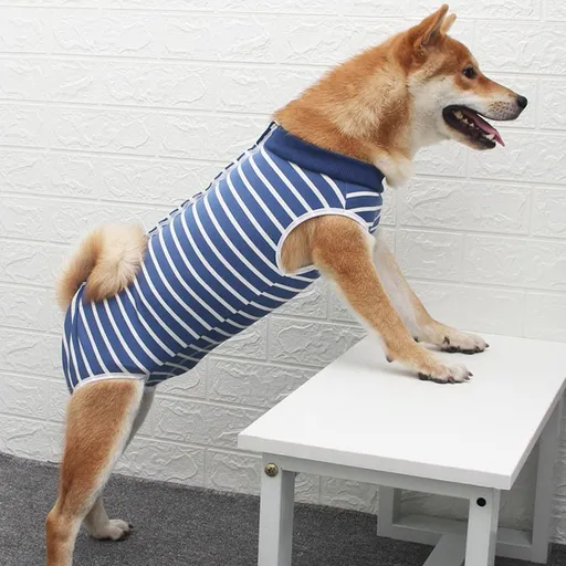 Ada Dog Post Surgery Recovery Clothing Striped Stripes M