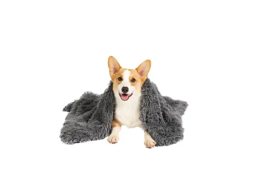 YES4PETS Pet Calming Plush Blanket Dog Cat Rug Puppy Kitten Soft Warmth Fleece 127X100 cm