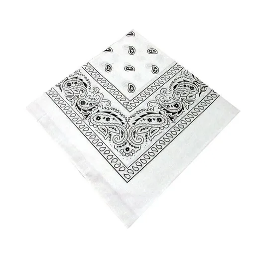 Paisley Bandana Scarf Head Wrap Face Neck Cover Summer Outdoor Fishing Headwear - White
