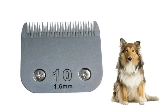 1.6 mm Stainless Steel Replacement Compatible for Universal A-Type