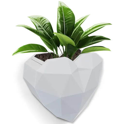 Wall Mounted Planter Space-Saving Design 3D Printed with Drainage Tray