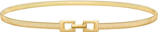 Women's Skinny Metal Cinch Belt for Dress Stretch Thin Waist Belt Gold/Sliver Elastic Belts