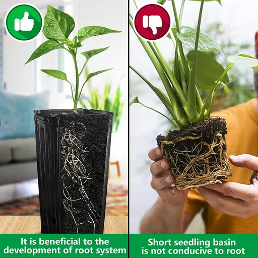 20Pcs Tall Tree Pots Tall Seedling Flower Plant Container Pots for Indoor Outdoor Garden Plants (20pcs)