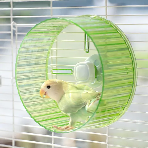 17cm Parrot Silent Running Wheel, Parrot Exercise Wheel, Birds, Parrots, Turtles, Hamsters, Small Animal Quiet Running Wheel (Green)