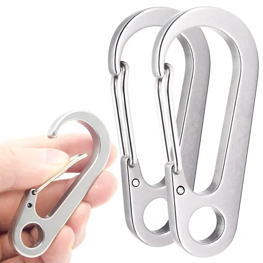 2 PCS Stainless Steel Carabiner Clip Spring-Snap Hook,Heavy Duty Mini Custom Quick Release Hook for Outdoor Key Chain Swing