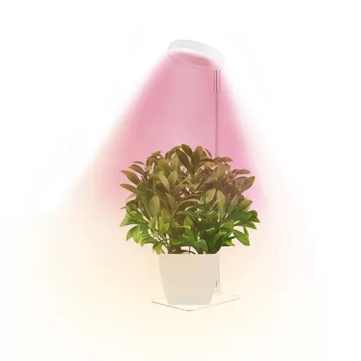Full Spectrum LED Plant Grow Light with Telescopic Stand, Angel Ring Design, Dimmable Timer & Multi-Mode for Indoor Potted Plants, Succulents, and Home Desktop Decor (3PCS, Red Blue Warm Light （White+Clear Base）)