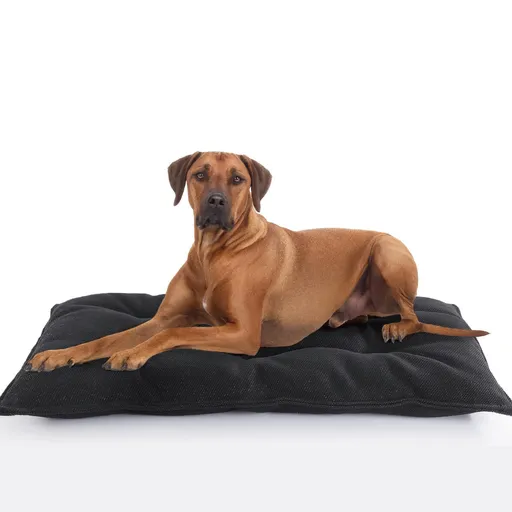 Chew Proof Indestructible Dog Beds for Aggressive Chewers,Durable Dog Crate Pad,Washable Tough Pet Mats for Kennel,Black,S 43*58cm