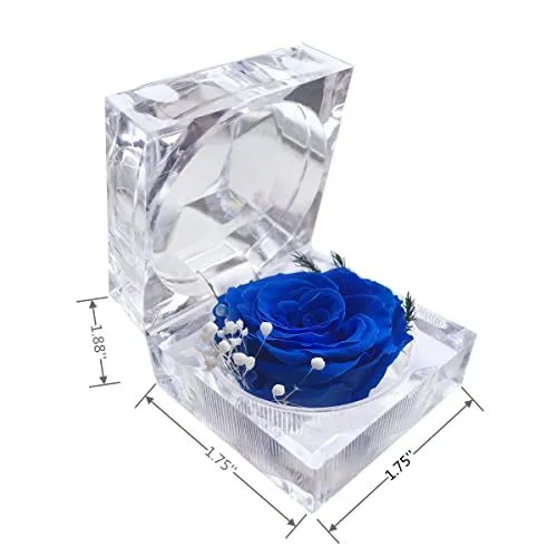 Preserved Rose Real Forever Rose in Mini Clear Ring Box, Eternal Flower Rose Gifts for Women Mom Girlfriend Grandma, (Blue)