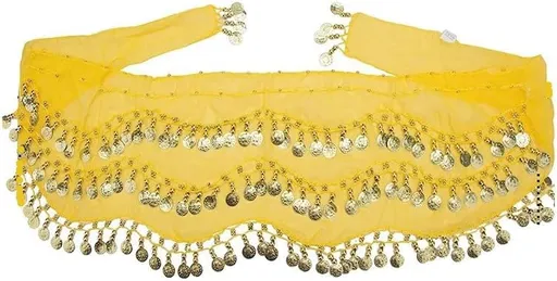 Belly Dance Hip Scarf,Belly Dance Hip Scarf Belly Dance Skirt with Gold Coins Bling Belly Dance Outfit