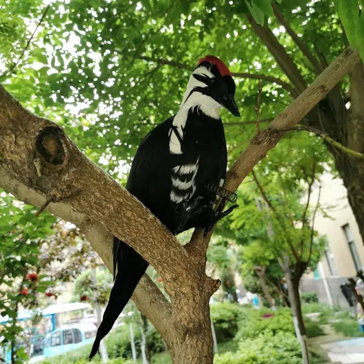 17 Inch Realistic Woodpecker Deterrent - Lifelike Woodpecker Decoy with Iron Wire - Garden & Yard Decoration to Protect Your Home from Woodpeckers
