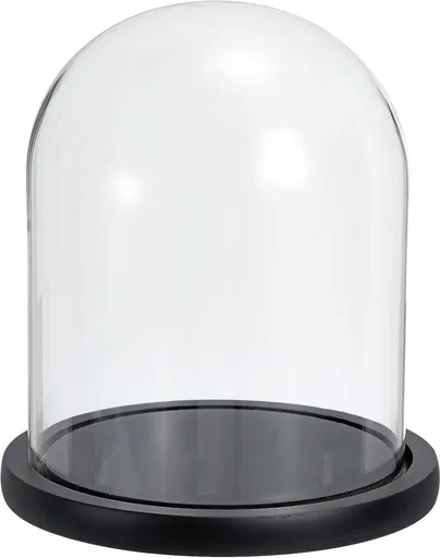 Glass Dome with Black Wooden Base - Clock Shaped Display Case - Home Decor - Desk Ornament - Christmas Decoration for Indoor Use