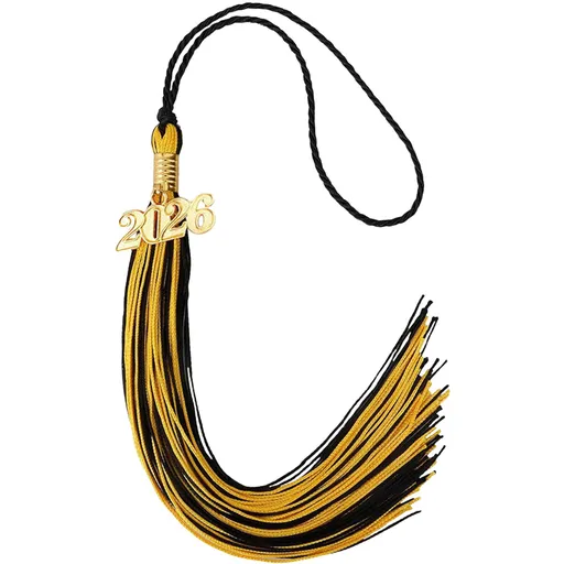 2026 Tassel Graduation, White Graduation Tassel, Tassel Charms for Graduations Cap Decorations, Tassels Memorial Grad Cords Class of 2026 High School Graduate Hat Ceremonies Accessories 2pcs 2026 Graduation Season Hat Tassel Pendant Reddish-yellow