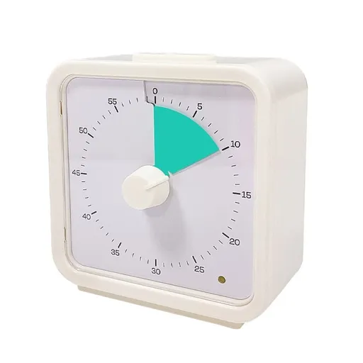 60 Minute Visual Timer for Kids Learning Classrooms and Meetings, Adjustable Volume with Magnet, Green