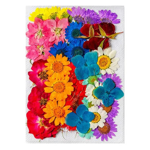36Pcs Dried Flowers Assorted Styles Colors Natural Material Multi Purpose Dried Flower Heads for Decoration DIY