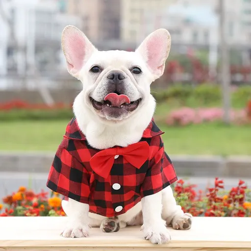 Shine Dog Plaid Shirt Polyester Two-legged Clothes Red and Black Plaid Bow-tie Shirt XL bust 50 long 40cm