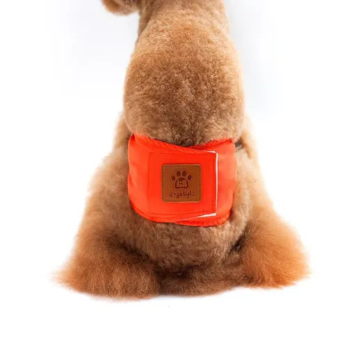 Creative Solid Color Male Dog Physiological Belt Reusable Washable Safety Pants for Heat Cycle Home Travel Marking Prevention and Outdoor Walking (S, Orange)