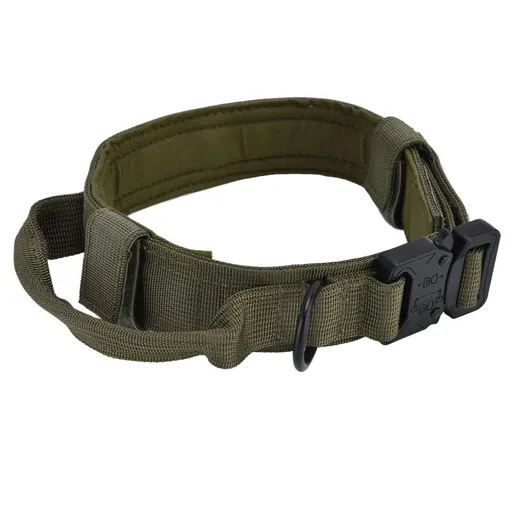 Traction Dog Collar with Buckle Nylon Iron Training Hunting Collar Pet Accessory for OutdoorGreen M