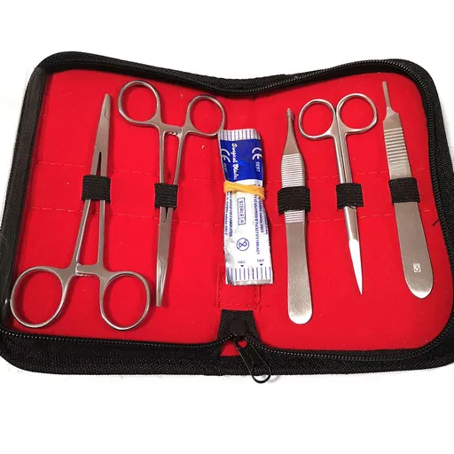 Stainless Steel Dissection Tools, 10 Pcs Biology Lab Anatomy Dissection Kit, Laboratory Equipment Tools Dissecting Set