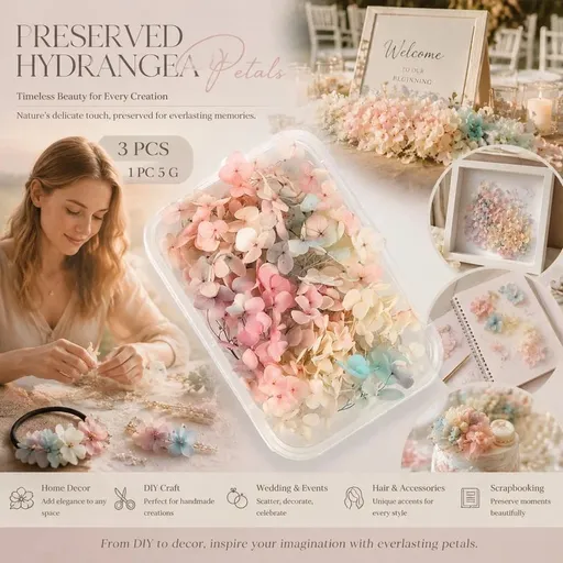 Champagne Gradient Preserved Hydrangea Dried Craft Flower Pack of 3 Boxes 5g