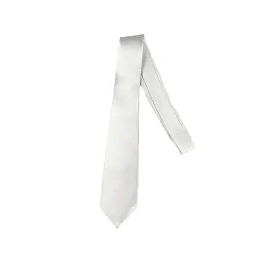Mens Skinny Tie Plain Wedding Slim Necktie Formal Casual Narrow Party - White