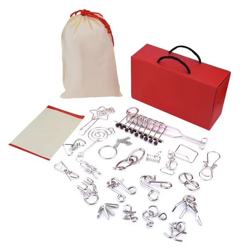 20-pack Metal Wire Puzzle Set IQ Puzzle Brain Training Toys Wire Puzzle