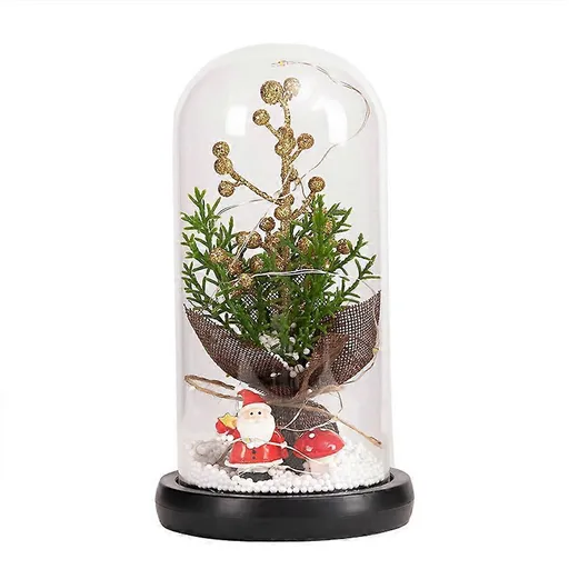 Glass Dome Christmas Plants Christmas Decorations Glass Dome Christmas Tree Branch with Lights