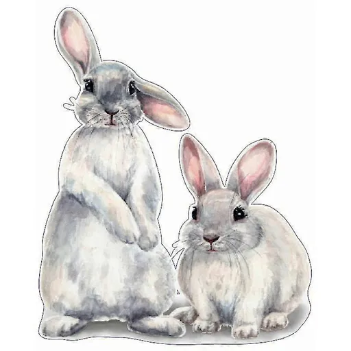 30*40cm Typography Wall Sticker Two Cute Rabbits babies Room