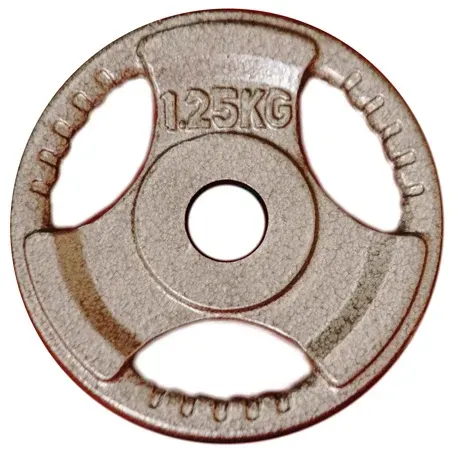 1.25kg Standard Cast Iron Weight Plate